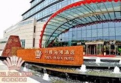 武汉玛雅爆料事件最新,揭秘背后真相与网络舆论风暴