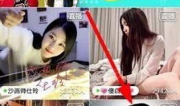 阿仁直播爆料视频在线观看,揭秘幕后真相，精彩瞬间回顾